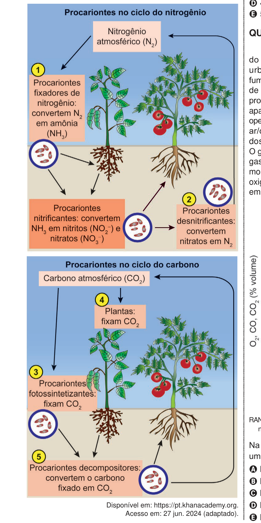 Figura da questão de Biologia