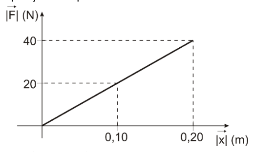 Figura da questão de Física