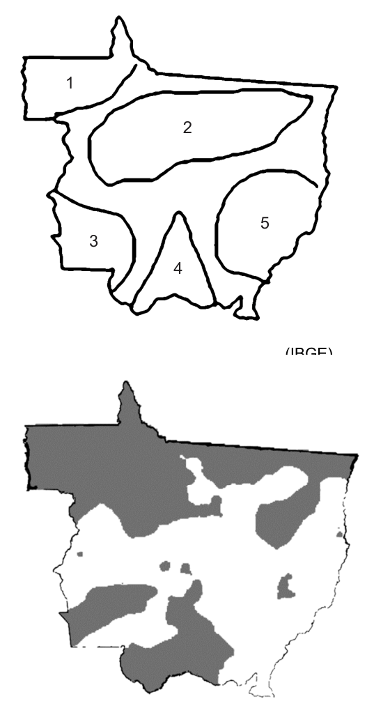 Figura da questão de Geografia de Mato Grosso