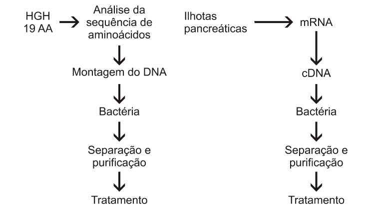 Figura da questão de Biologia