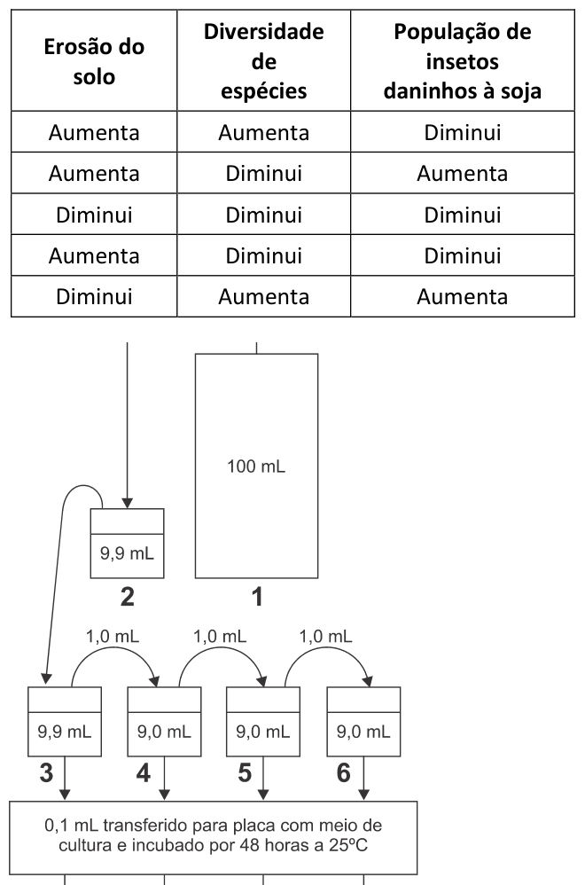 Figura da questão de Biologia