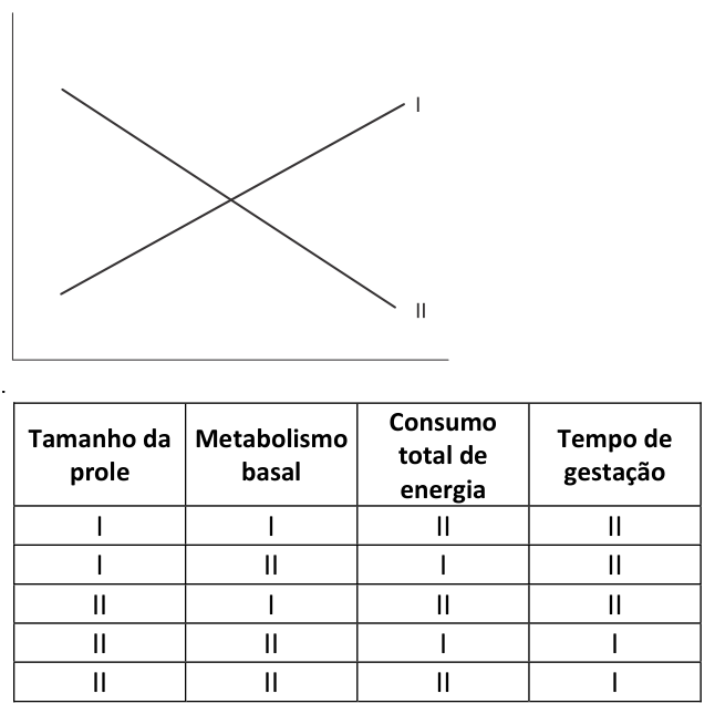 Figura da questão de Biologia