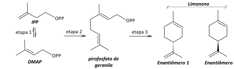 Figura da questão de Química