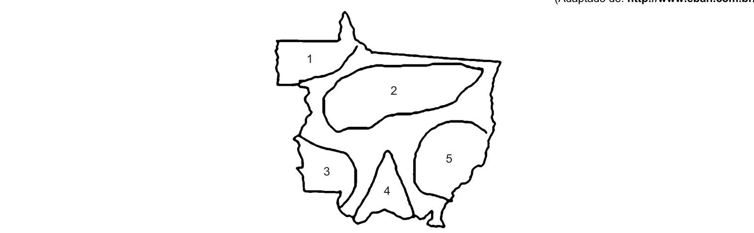 Figura da questão de Geografia de Mato Grosso