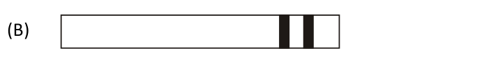 Figura da questão de Biologia