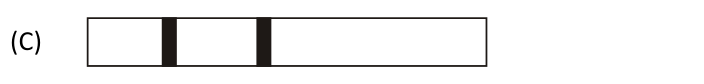 Figura da questão de Biologia
