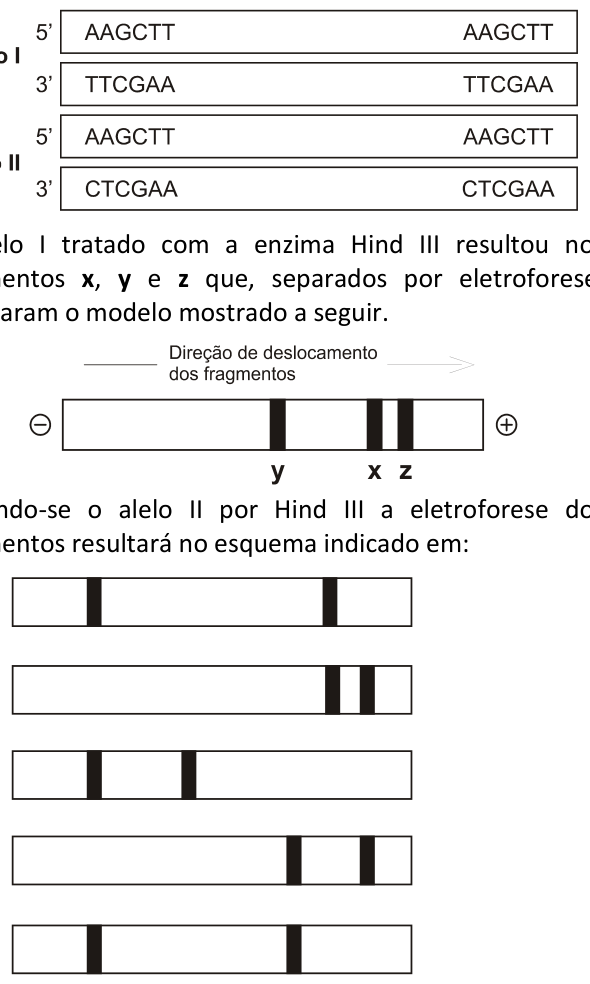 Figura da questão de Biologia
