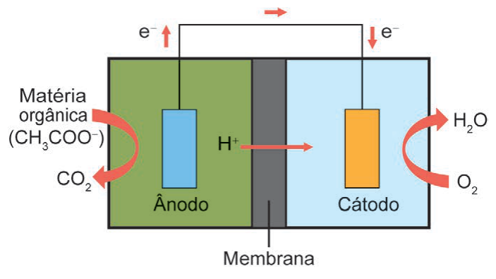 Figura da questão de Química