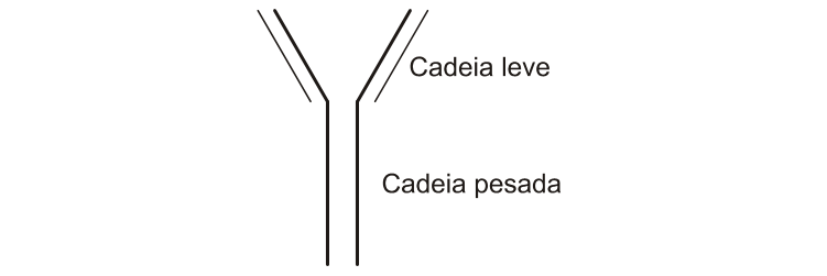 Figura da questão de Biologia