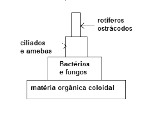 Figura da questão de Engenharia Ambiental