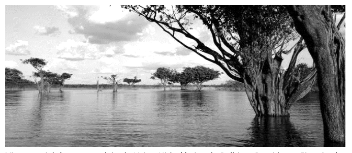 Figura da questão de Geografia do Amazonas