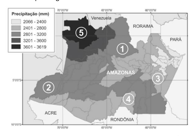 Figura da questão de Geografia do Amazonas