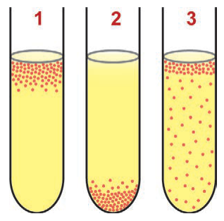 Figura da questão de Biologia