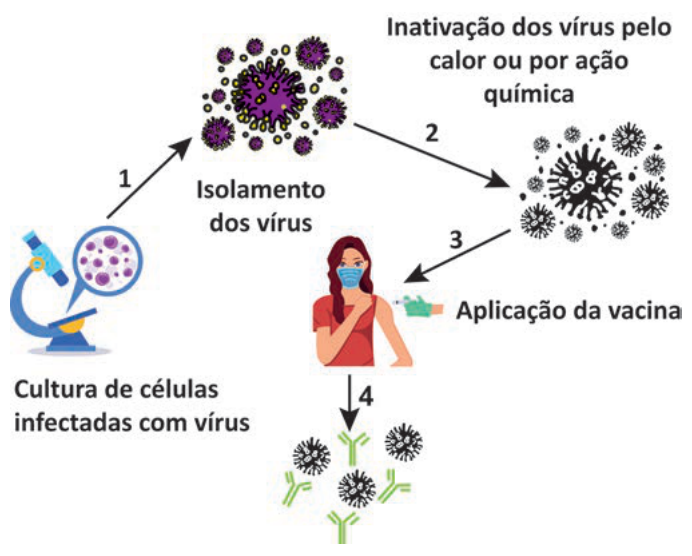 Figura da questão de Biologia