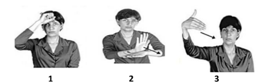 Figura da questão de Libras