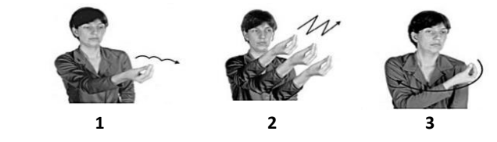 Figura da questão de Libras