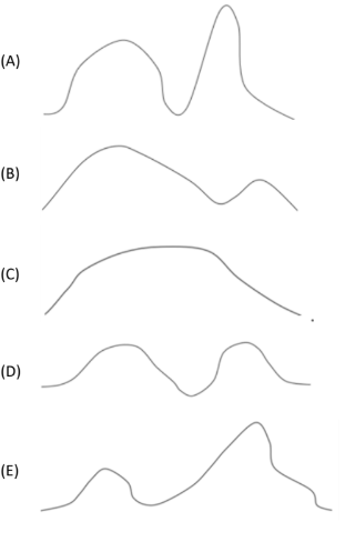Figura da questão de Geografia