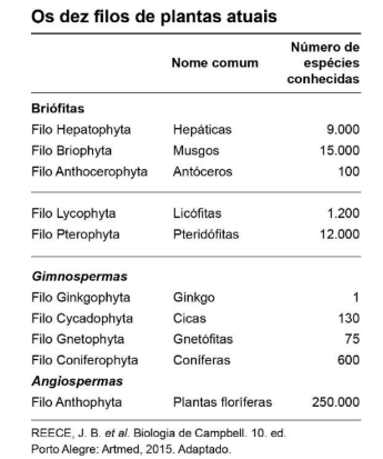 Figura da questão de Ciências Biológicas