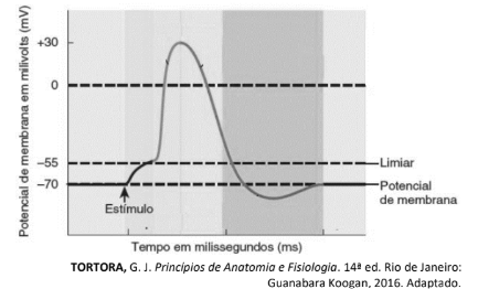 Figura da questão de Ciências Biológicas