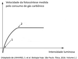 Figura da questão de Ciências Biológicas