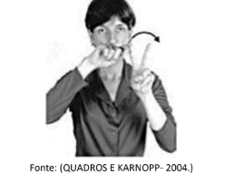 Figura da questão de Libras