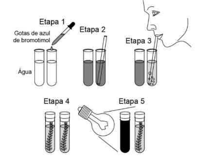 Figura da questão de Ciências