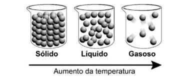 Figura da questão de Ciências