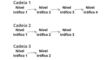 Figura da questão de Ciências