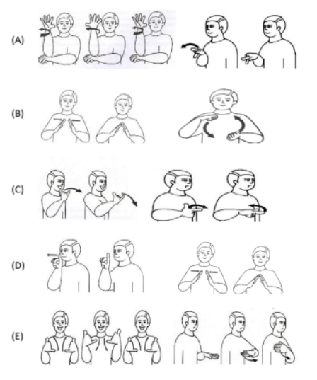 Figura da questão de Libras
