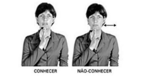 Figura da questão de Libras