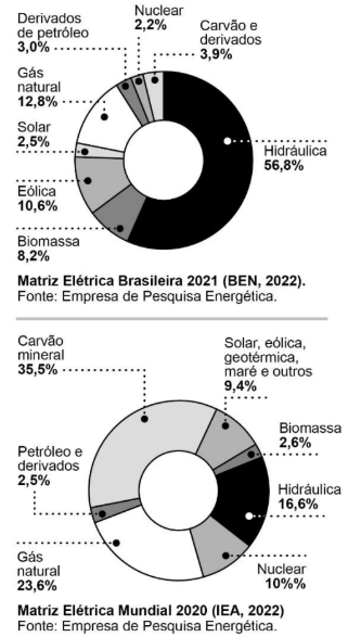 Figura da questão de Biologia