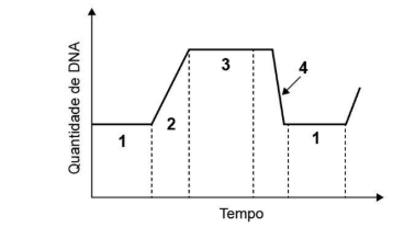 Figura da questão de Biologia