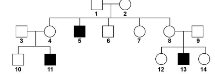 Figura da questão de Biologia