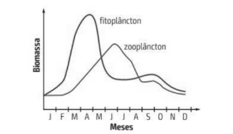Figura da questão de Biologia