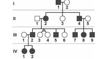 Figura da questão de Biologia
