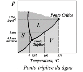 Figura da questão de Bioenergia