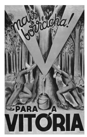 Figura da questão de História do Amazonas