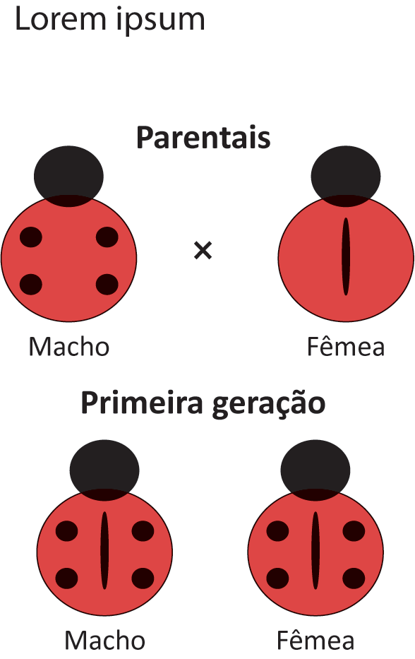 Figura da questão de Biologia
