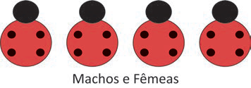 Figura da questão de Biologia