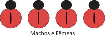 Figura da questão de Biologia