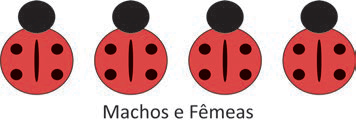 Figura da questão de Biologia