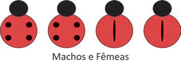 Figura da questão de Biologia