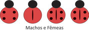 Figura da questão de Biologia