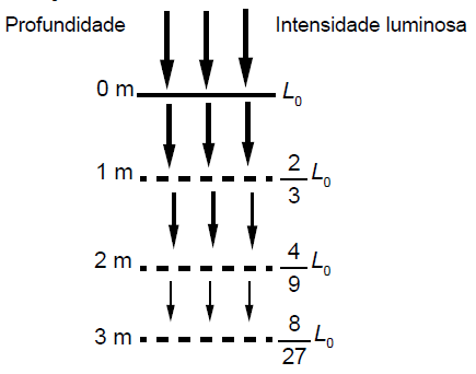 Figura da questão de Matemática