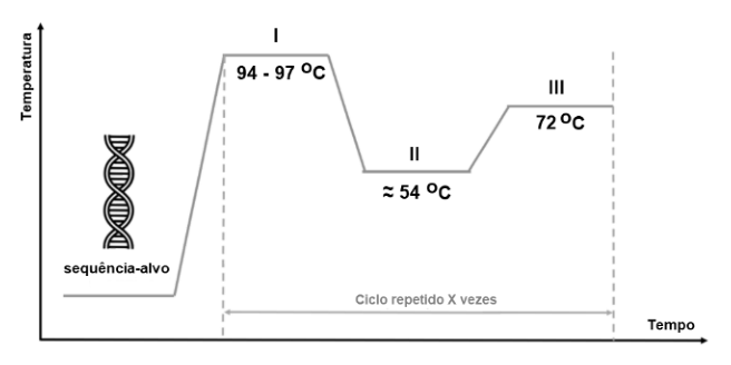 Figura da questão de Biologia