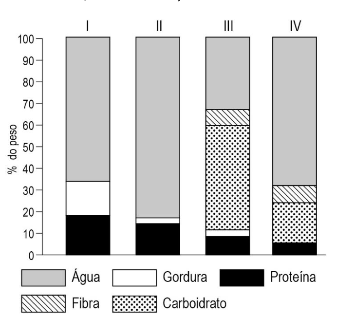 Figura da questão de Biologia