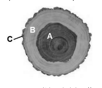 Figura da questão de Biologia