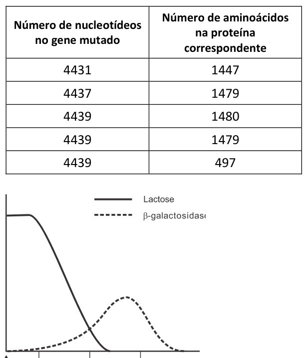 Figura da questão de Biologia