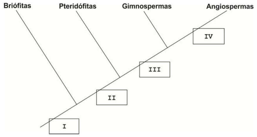 Figura da questão de Biologia