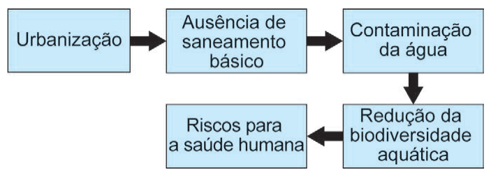 Figura da questão de Biologia